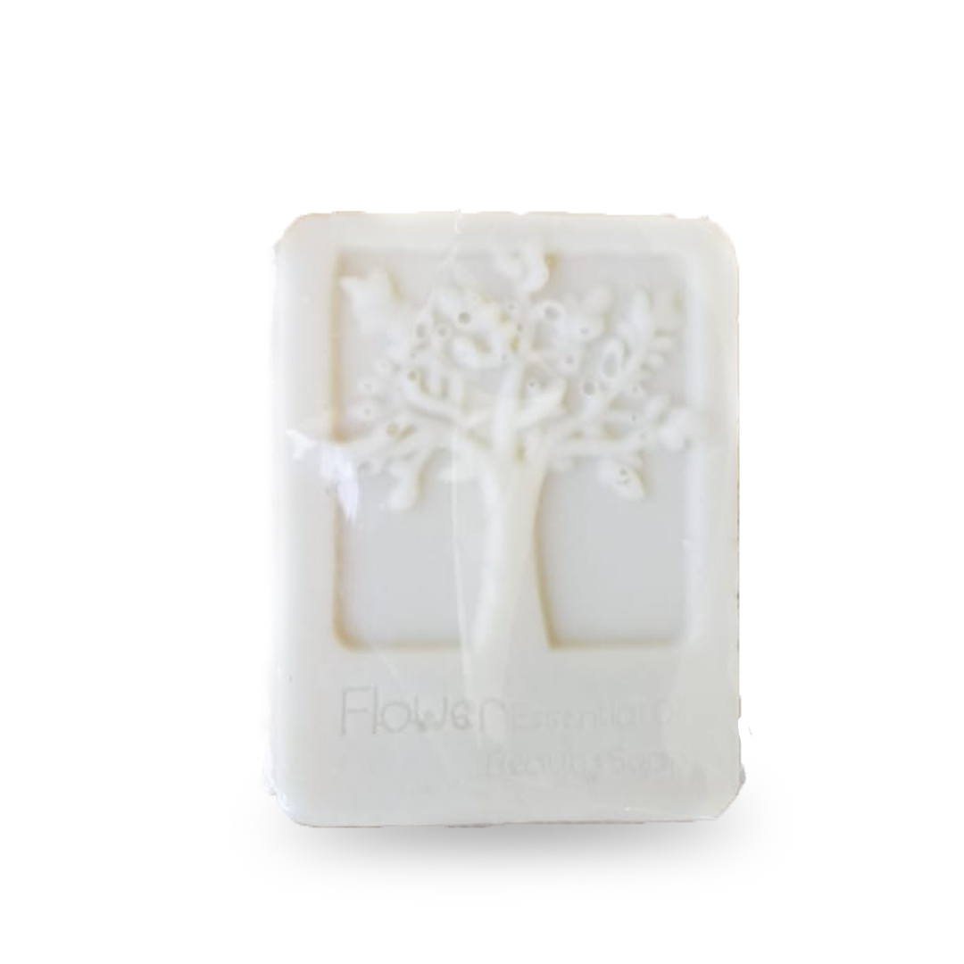 Earthly Desires Natural Shampoo Bar