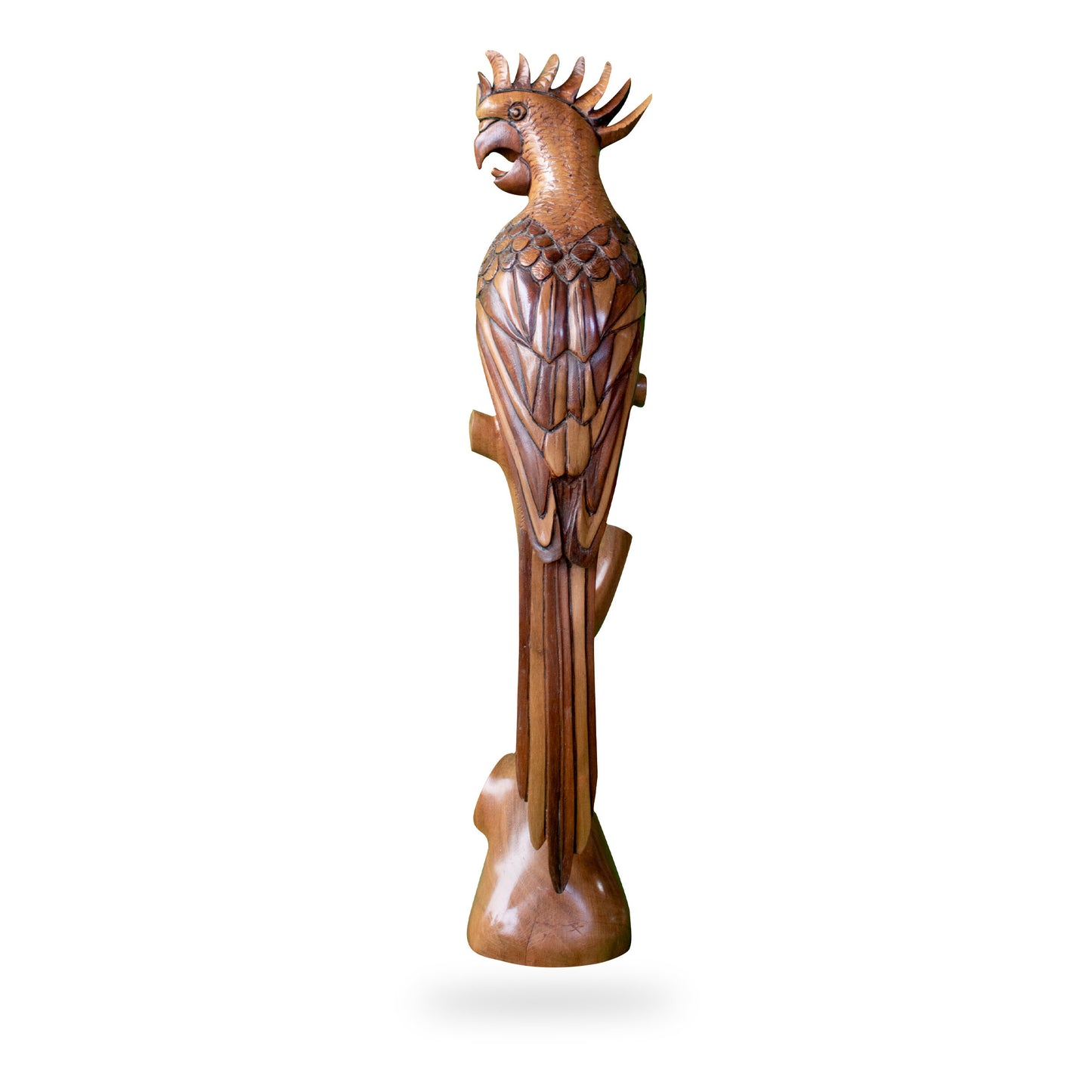Cedarwood Parrot Carving