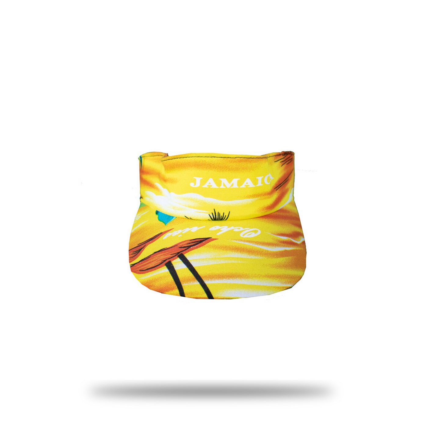 Sun Visor