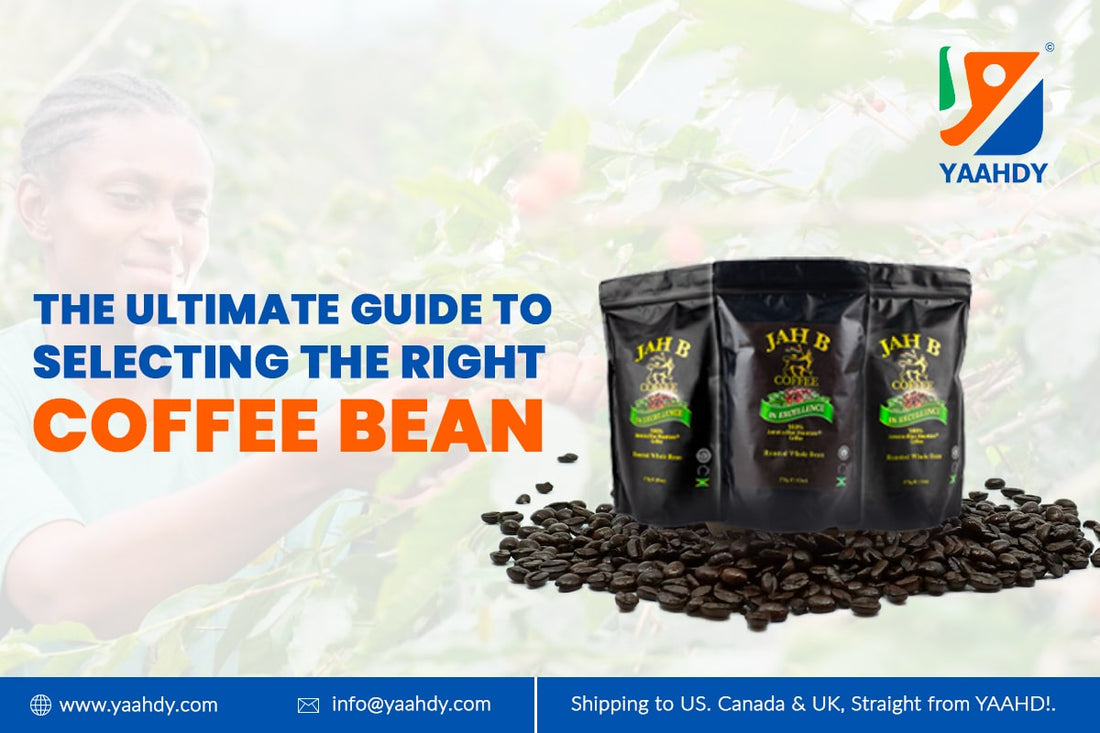 The Ultimate Guide to Selecting the Right Coffee Bean