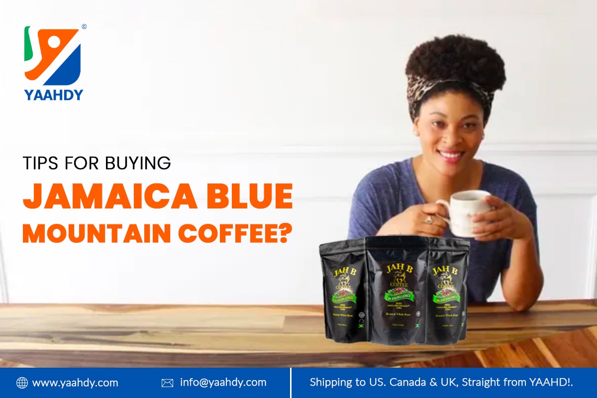 Tips For Buying Jamaican Blue Mountain Coffee