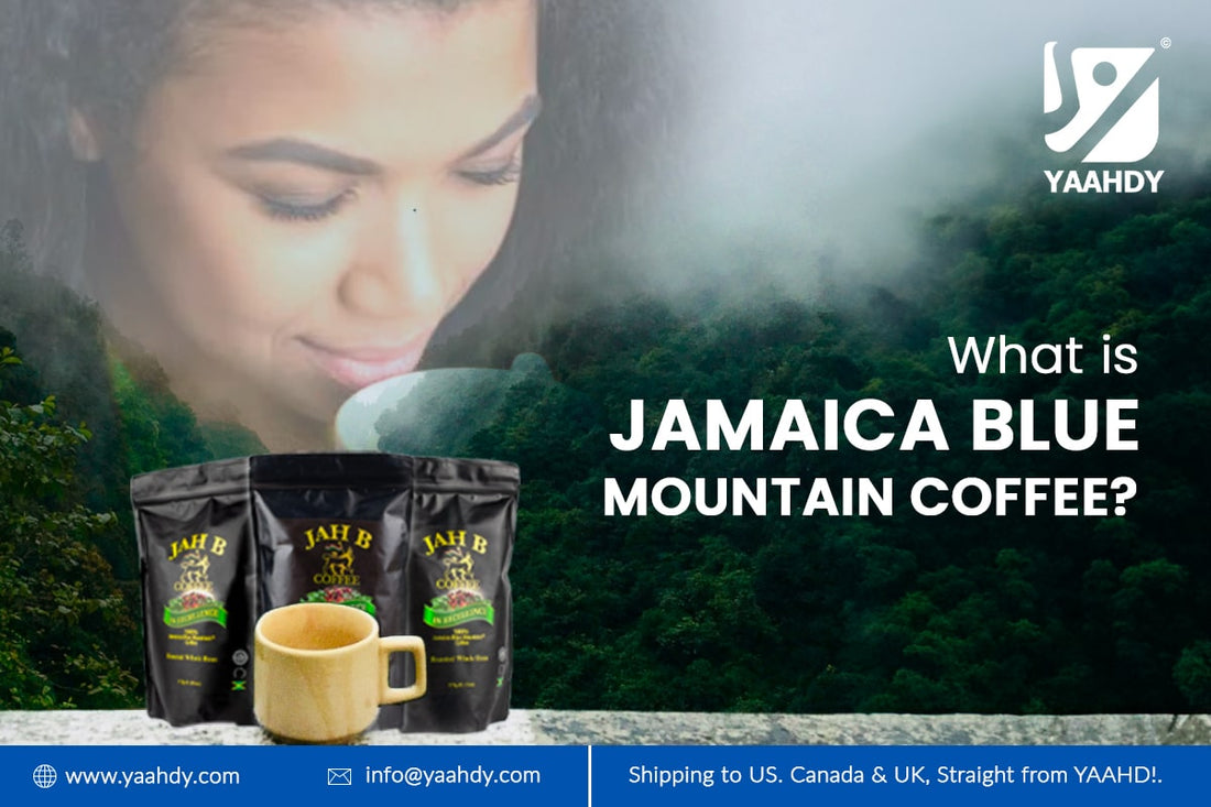 What is Jamaica Blue Mountain coffee?