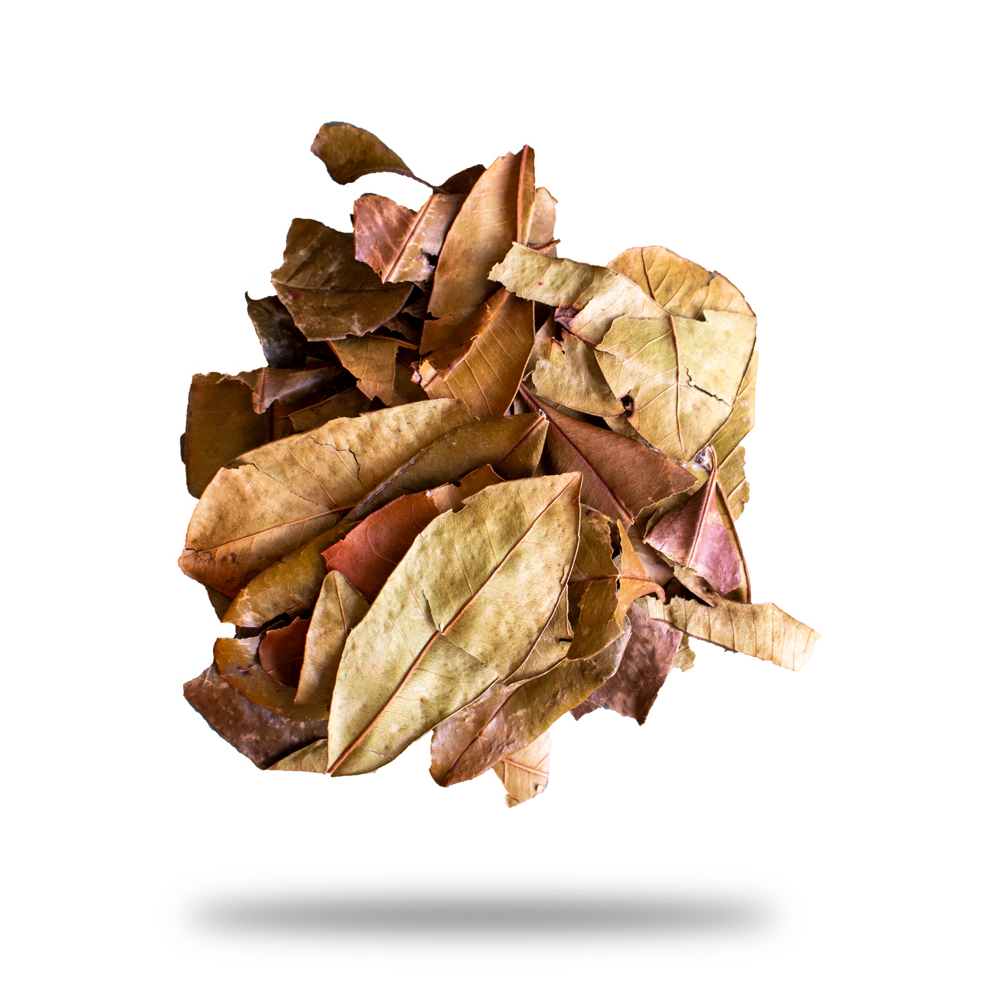 Herbs and Spices Cinnamon Leaf